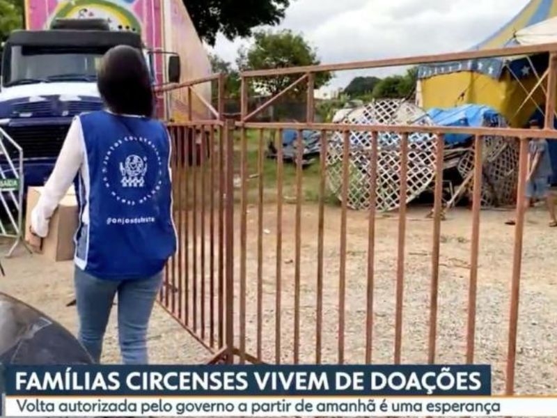 O Impacto que a Pandemia causou nos Circos - ONG Anjos da Leste